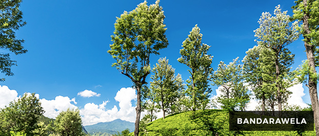 Bandarawela